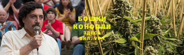 СК Елабуга