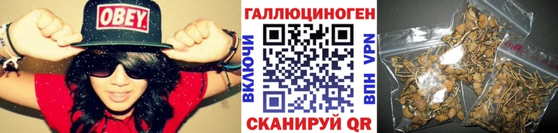 где продают   Полесск  Псилоцибиновые грибы ЛСД 